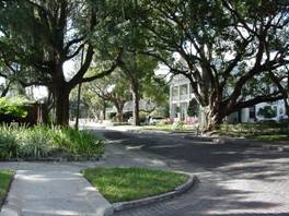 photo of tree-lined street in Plant City